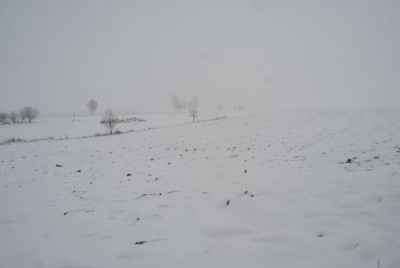 Dolny Śląsk zasypany (ZDJĘCIA) - 17