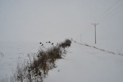 Dolny Śląsk zasypany (ZDJĘCIA) - 16