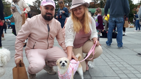 Parada na 1000 łap przeszła ulicami Wrocławia [ZOBACZ] - 2