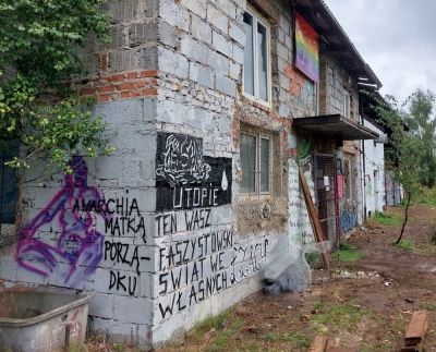 Z dnia na dzień stał się intruzem na własnej posesji. Jak poradzić sobie z dzikimi lokatorami?