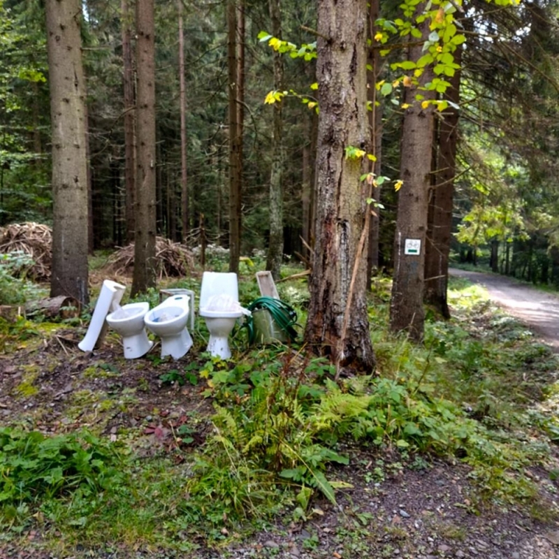 Nietypowa "wystawa" w Górach Stołowych. Ktoś zostawił w lesie... muszle klozetowe - fot. PNGS