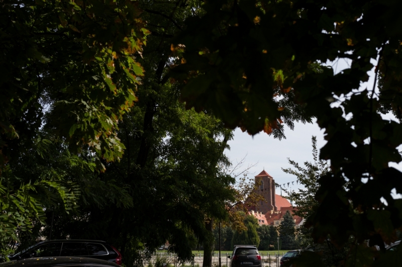 ZDJĘCIE DNIA: Kościół w zieleni ukryty - fot. Patrycja Dzwonkowska