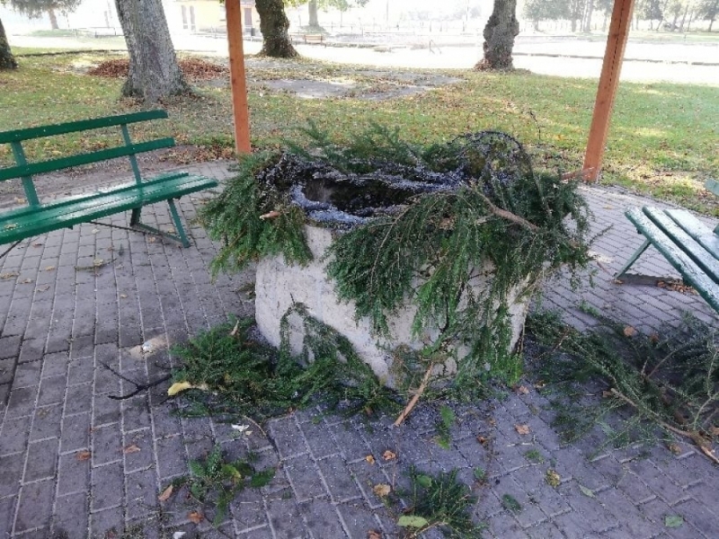 Wandale grasują w Radkowie. Gmina prosi o pomoc [FOTO] - fot. Gmina Radków