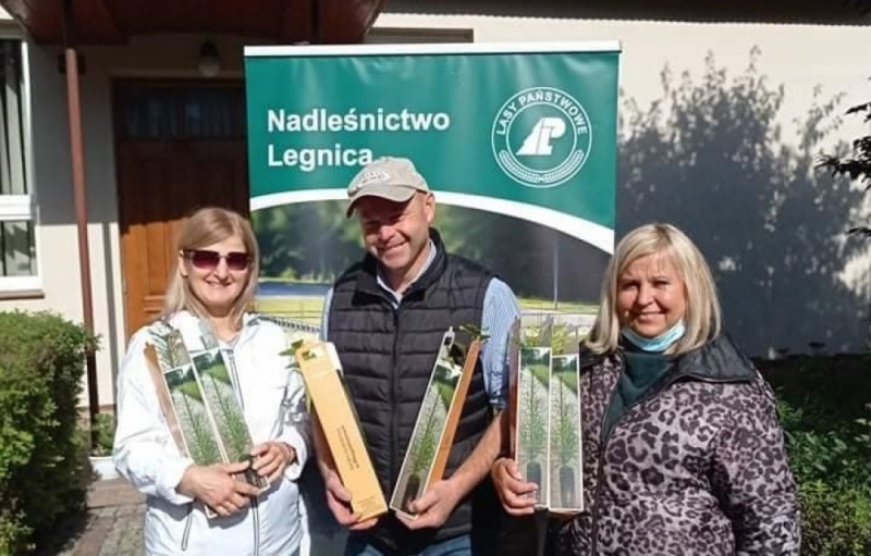 Legniccy leśnicy rozdawali sadzonki  - Nadleśnictwo Legnica