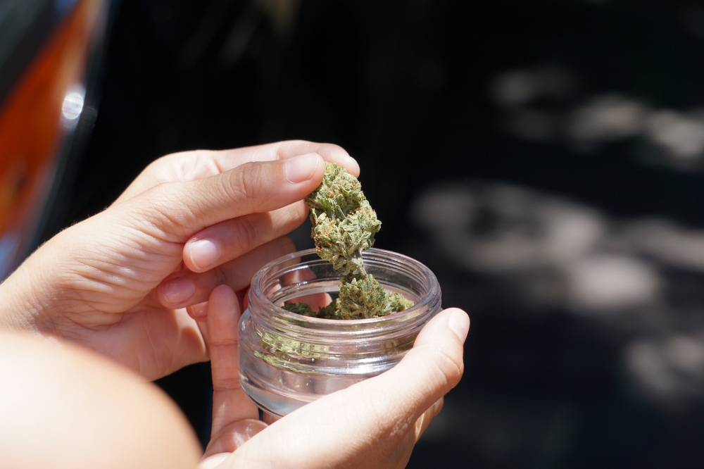 Wieczór zDolnego Śląska: Kiedy dostępna będzie medyczna marihuana? - fot. zdjęcie ilustracyjne, fot. pixababy