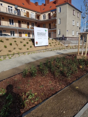 Pierwszy z czterech parków kieszonkowych w Wałbrzychu już otwarty  - 2