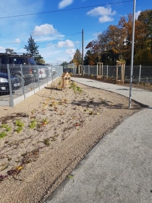 Pierwszy z czterech parków kieszonkowych w Wałbrzychu już otwarty  - 3