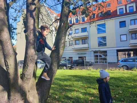Legnica: "Stop Betonozie". Protest w obronie skweru - 2