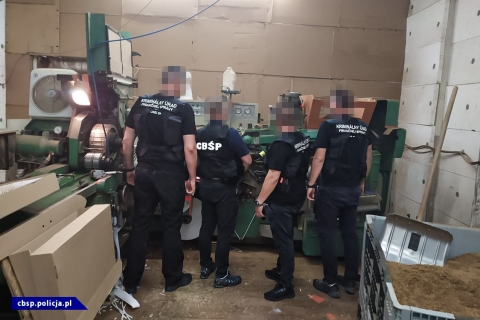 Polsko-czesko-słowackie uderzenie w międzynarodową grupę przestępczą - 2