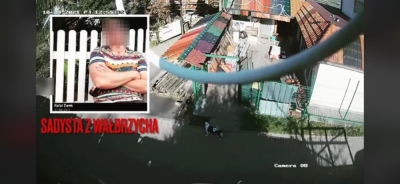 Wypadek, czy działanie celowe? Koparka przejechała psa - obrońcy zwierząt podnoszą alarm