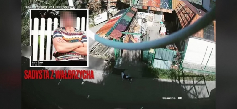 Wypadek, czy działanie celowe? Koparka przejechała psa - obrońcy zwierząt podnoszą alarm - fot. FB Dolnośląski Inspektorat Ochrony Zwierząt