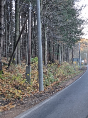 Stały nawet bliżej niż znaki i bariery. Absurd przy drodze w okolicach Świdnicy - 3