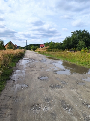 Fatalny finał podróży karetką po Leśnej w Zębicach. Mieszkańcy: To wina niedbalstwa gminy - 2