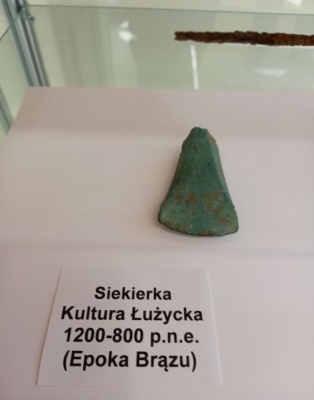 Szczątki prehistorycznych zwierząt można zobaczyć w Żarowie k. Świdnicy - 3