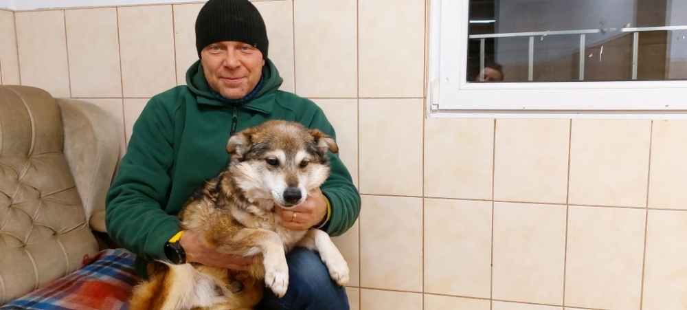 Podwrocławska fundacja pomaga aktywistce ratującej psy z okolic Donbasu - fot. Matuzalki
