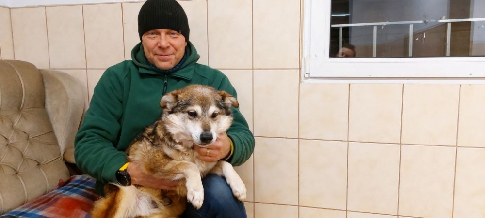 Podwrocławska fundacja pomaga aktywistce ratującej psy z okolic Donbasu – fot. Matuzalki