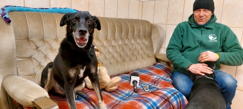 Podwrocławska fundacja pomaga aktywistce ratującej psy z okolic Donbasu - 3