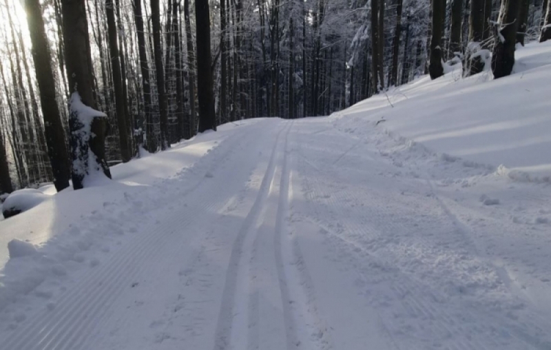 Opawa: Pierwsze trasy do biegania na nartach już gotowe - fot. zdjęcie ilustracyjne