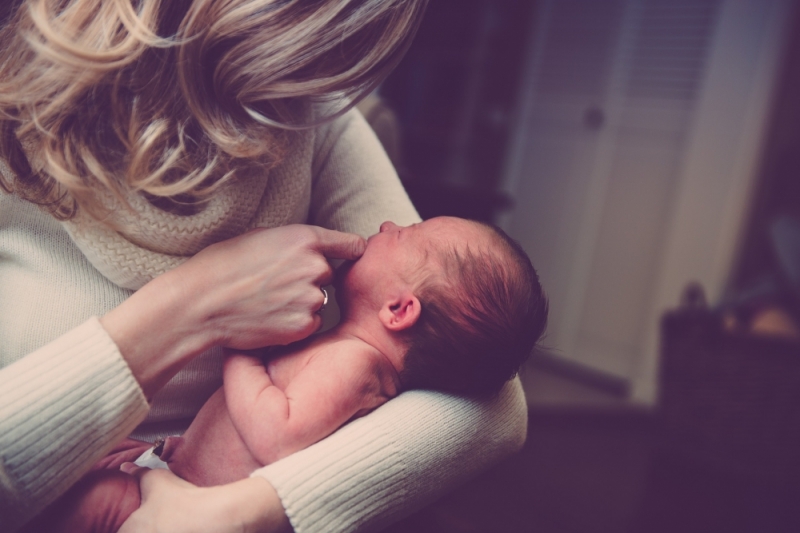 Zebranie Rodziców: Niewygaszone odruchy pierwotne - zdjęcie ilustracyjne fot. pixababy