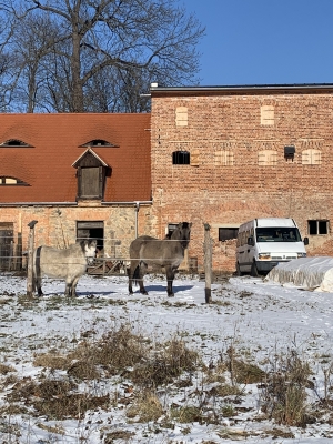 Pałac w Kalinowicach Górnych odzyskuje dawny blask - 0