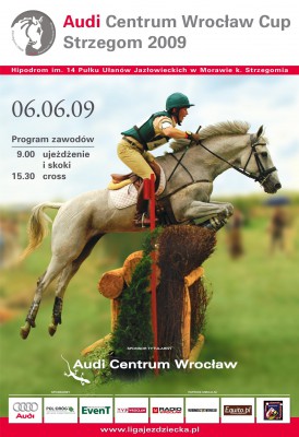 Audi Centrum Wrocław Cup – Strzegom 2009 po raz drugi - 0