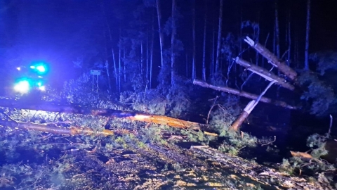 Wichura na Dolnym Śląsku. Trwa liczenie strat [RAPORT] - 0