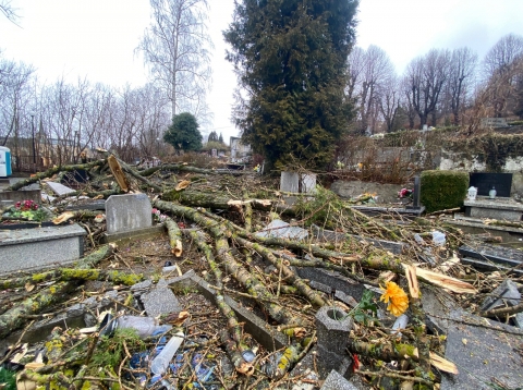 Wichura na Dolnym Śląsku. Trwa liczenie strat [RAPORT] - 9