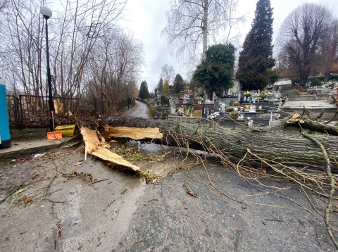 Wichura na Dolnym Śląsku. Trwa liczenie strat [RAPORT] - 10