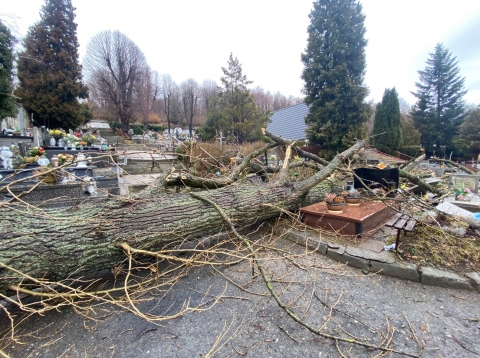 Wichura na Dolnym Śląsku. Trwa liczenie strat [RAPORT] - 11