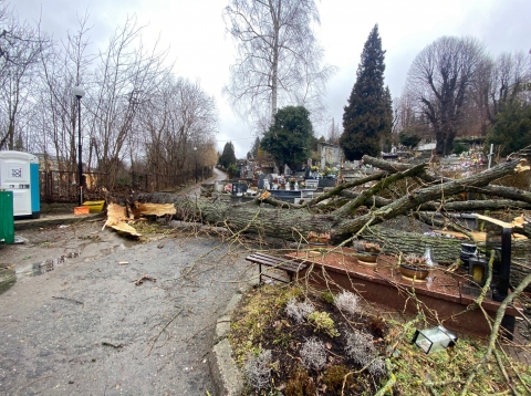 Wichura na Dolnym Śląsku. Trwa liczenie strat [RAPORT] - 12