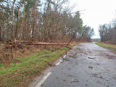 Wichura na Dolnym Śląsku. Trwa liczenie strat [RAPORT] - 7