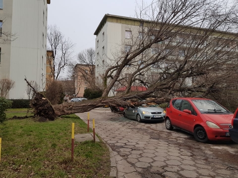 Wichura na Dolnym Śląsku. Trwa liczenie strat [RAPORT] - 17