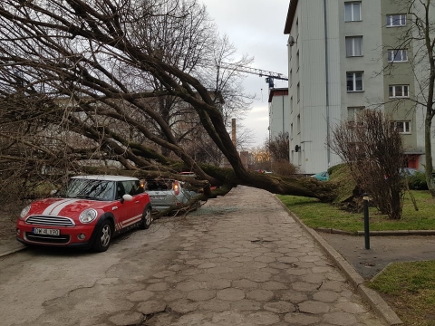 Wichura na Dolnym Śląsku. Trwa liczenie strat [RAPORT] - 18