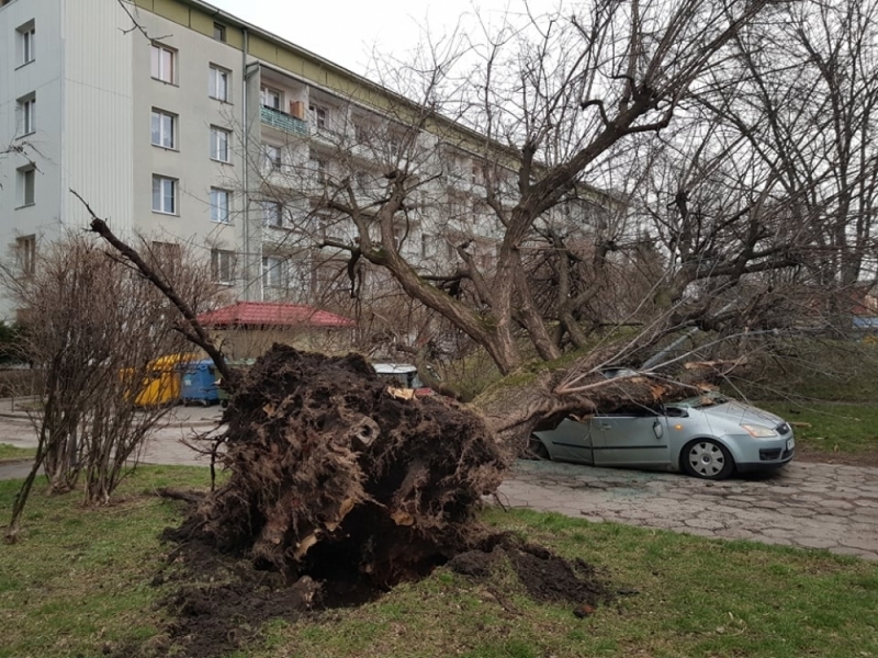 Groźny orkan Eunice. Cztery osoby nie żyją - fot. z 17.02