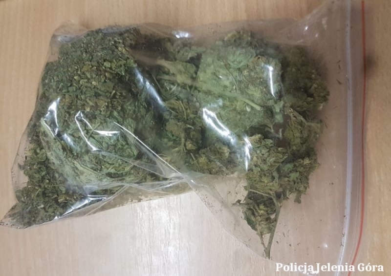 W mieszkaniu 27-latki policjanci znaleźli ponad 550 porcji narkotyków - fot. mat. prasowe