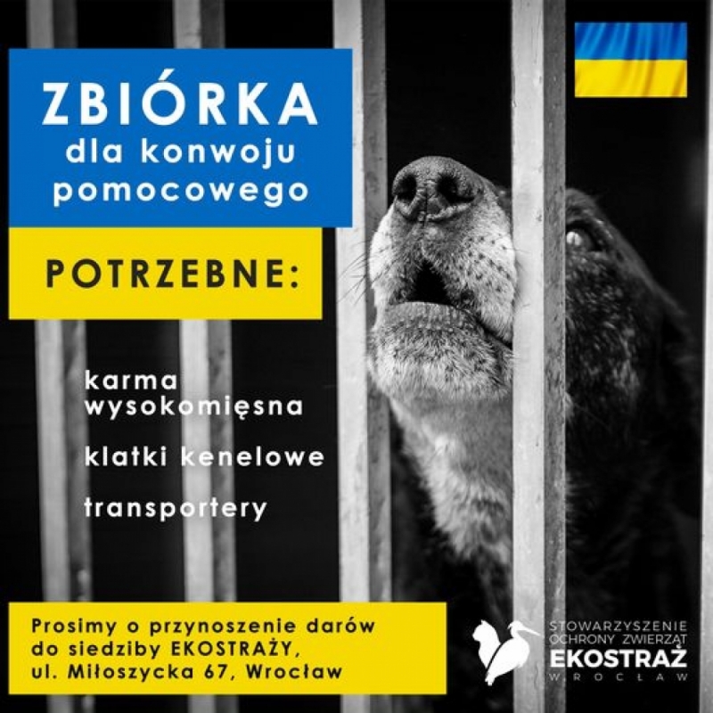 Ekostraż rusza na ratunek zwierzętom w Ukrainie - potrzebna pomoc - fot. mat. prasowe Ekostraż