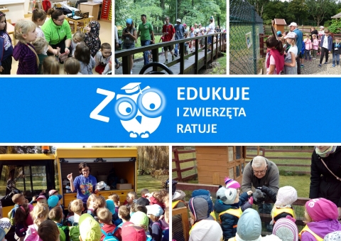 Lubin: ZOO stawia na edukację. Ambasadorem akcji... Pan Bielik - 1