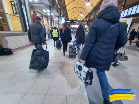Wrocław: Bezpłatne czipowanie i wydawanie pozwolenia na pobyt dla czworonogów - 0