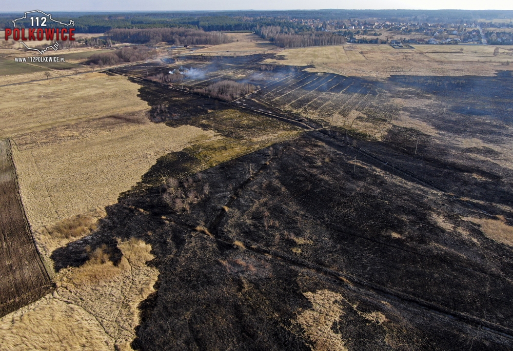 Przemków: Spłonęło ponad 100 hektarów. Pogorzelisko tuż obok budynków [FOTO] - fot. 112 Polkowice