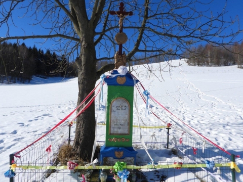 Najwięcej jest ich w Sudetach. Nie objęte ochroną powoli znikają - 2