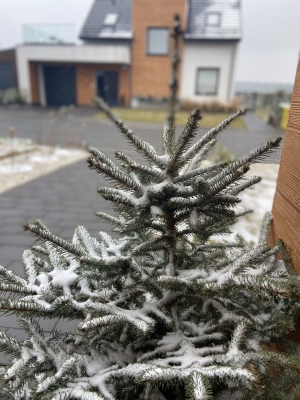 Pogoda na Dolnym Śląsku: "Najgorsze za nami" - 0