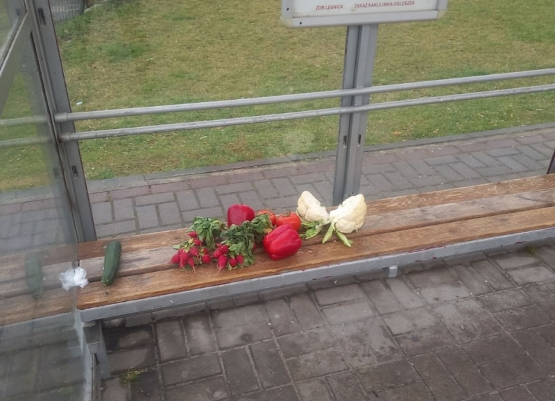 Legnica: Anonimowy darczyńca zostawia świeże warzywa i owoce na przystankach - fot. Andrzej Andrzejewski 