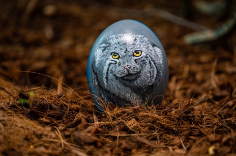 Akcja z jajem we wrocławskim ZOO [FOTO] - 6