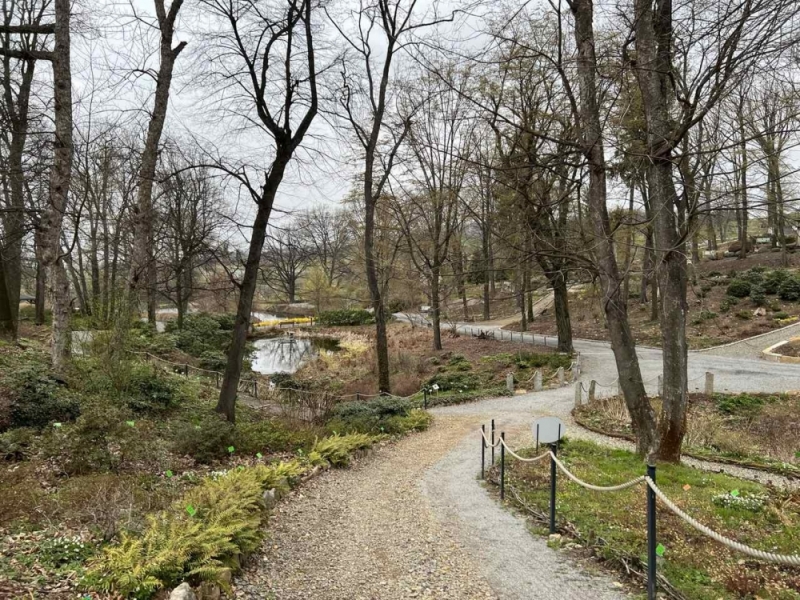 Arboretum w Wojsławicach otwiera się po zimowej przerwie - fot. Arboretum