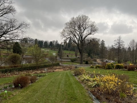 Arboretum w Wojsławicach otwiera się po zimowej przerwie - 0
