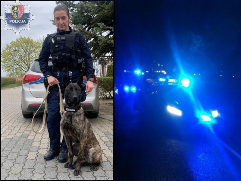 Udany debiut psa w polkowickiej policji - fot. dolnoslaska.policja.gov.pl