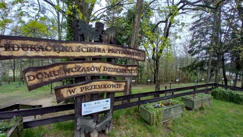 Czy najstarsza w regionie "zielona szkoła" przestanie istnieć? - 3