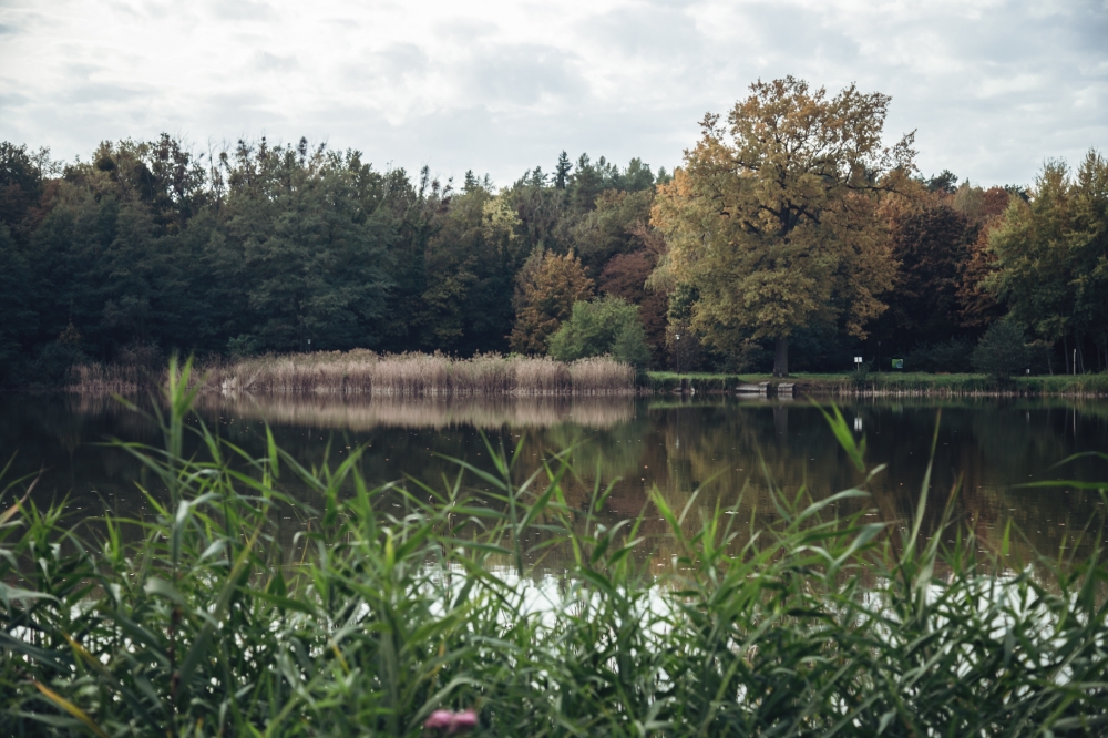Wieczór zDolnego Śląska: Jeziora w regionie umierają - jak temu zapobiec? - fot. Patrycja Dzwonkowska
