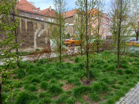 Podwórka w centrum Świdnicy nabierają blasku - 1