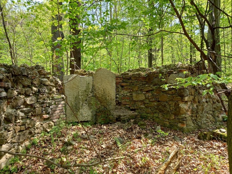 Książański Park Krajobrazowy odsłania kolejne tajemnice - fot. Barbara Szeligowska